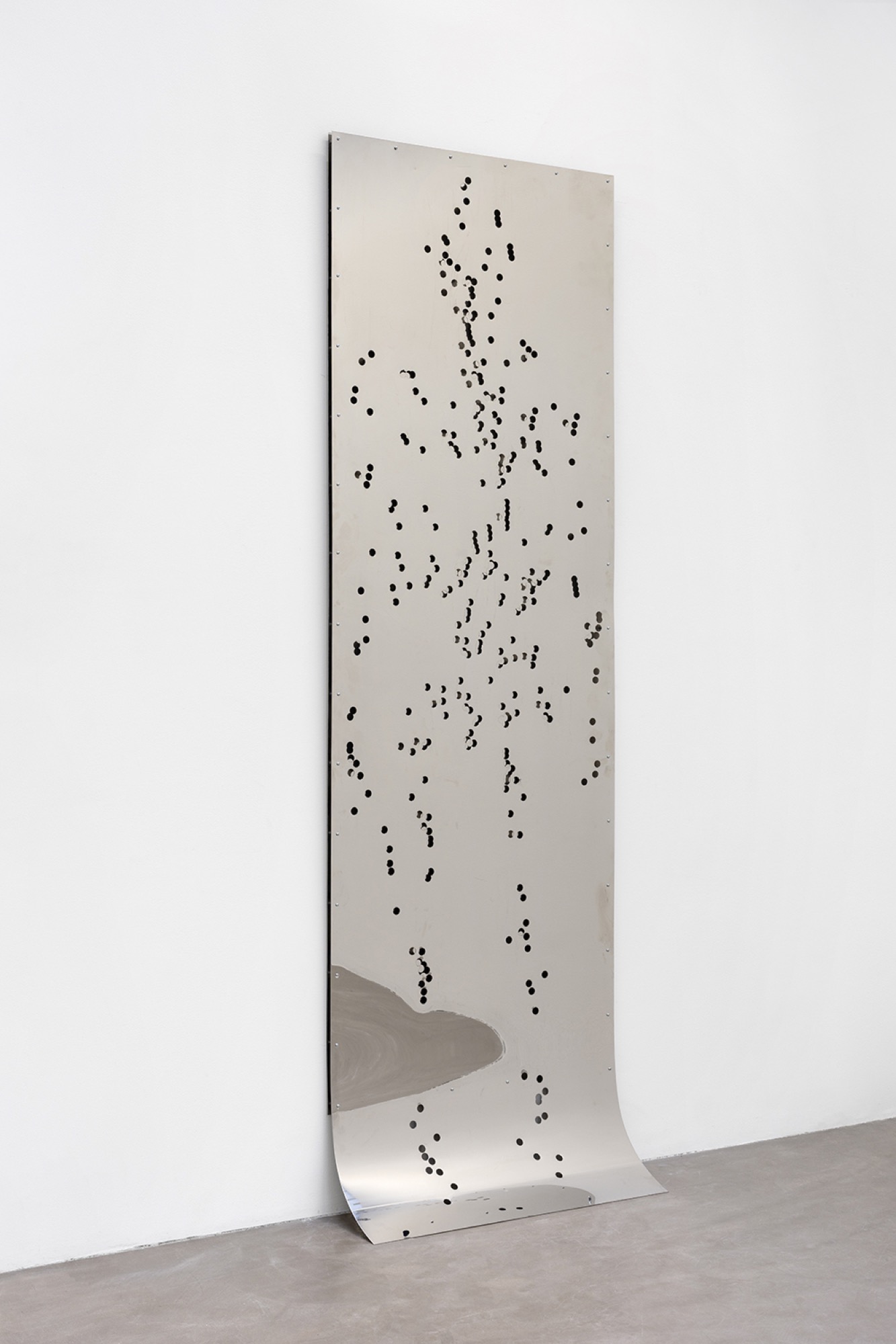 Work by Anna de Castro Barbosa