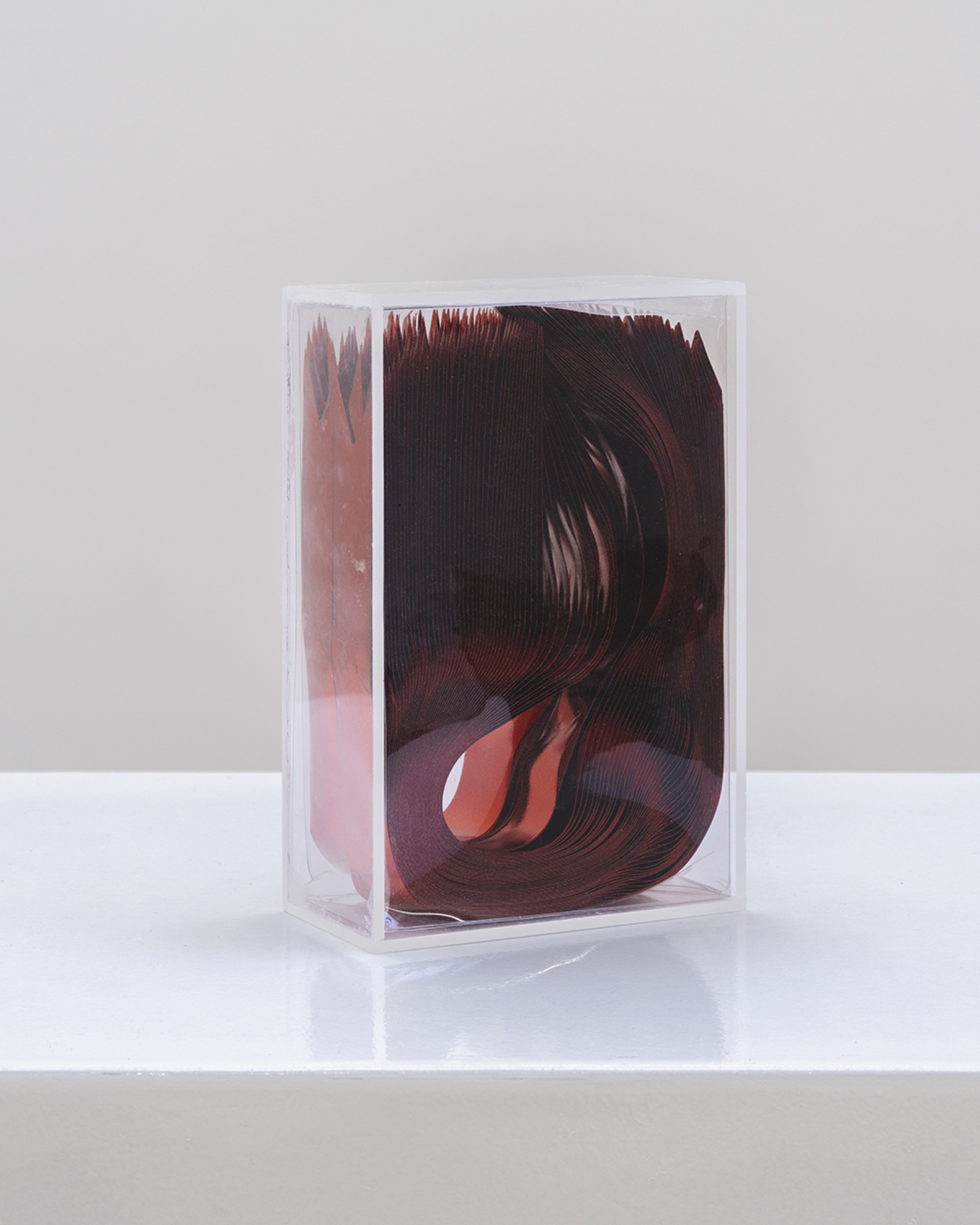 Work by Anna de Castro Barbosa
