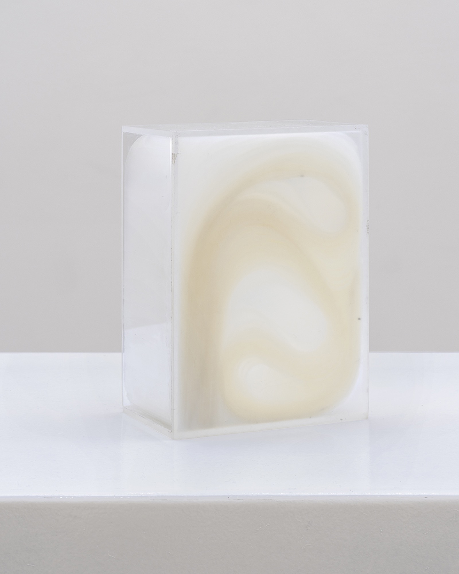 Work by Anna de Castro Barbosa